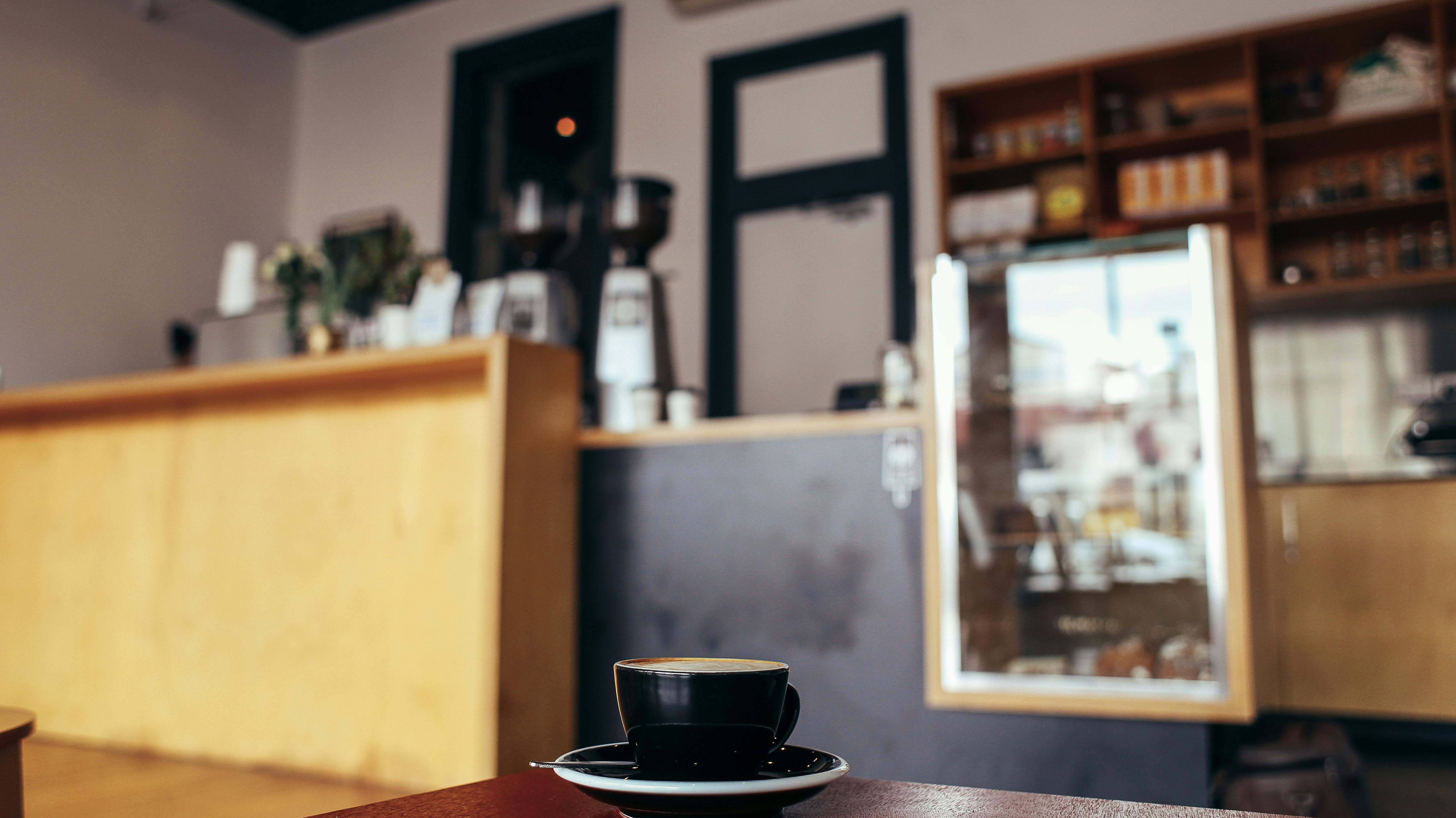 A modern wood coffee table with storage