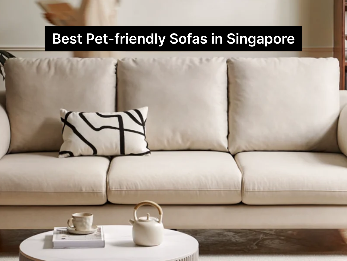 Best Pet-friendly Sofas in Singapore: Features & Care Tips