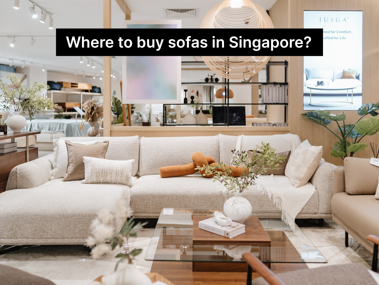 Where to Buy Sofas in Singapore: Which Store Offers Quality?