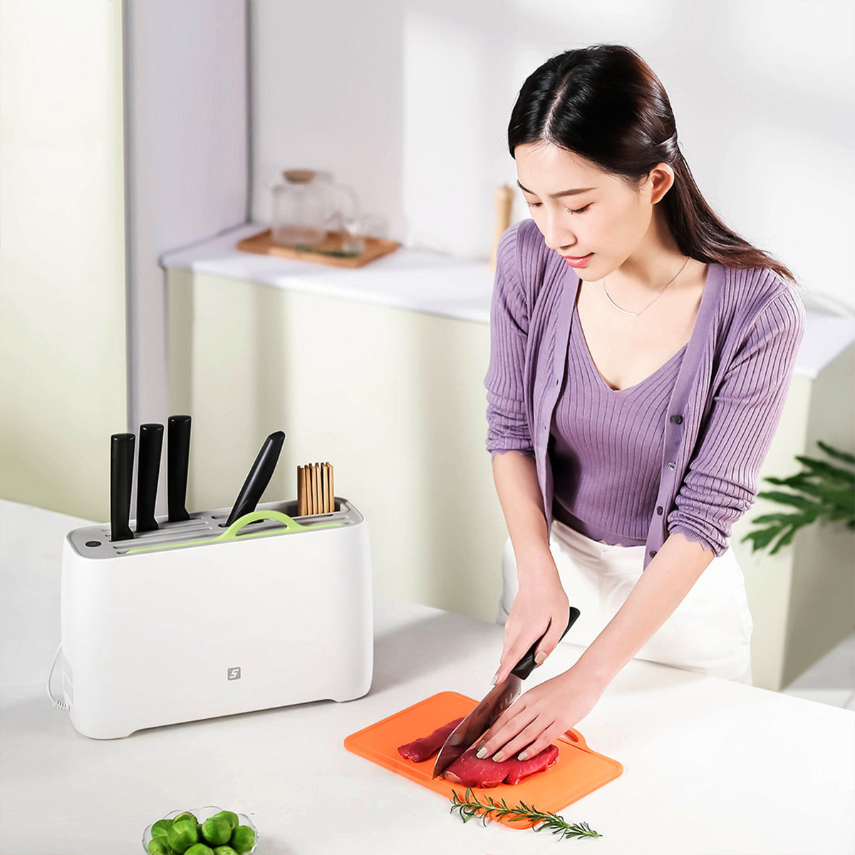 UV Knife & Chopping Board Sterilizer Rack - IUIGA