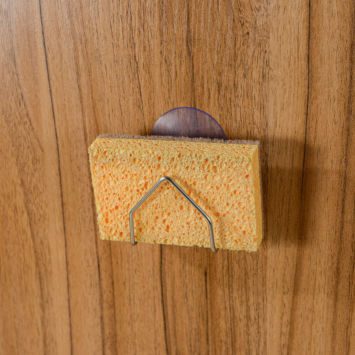 Stainless Steel Suction Sponge Holder - IUIGA