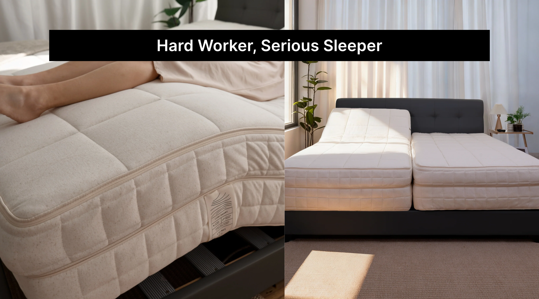 Hard Worker, Serious Sleeper