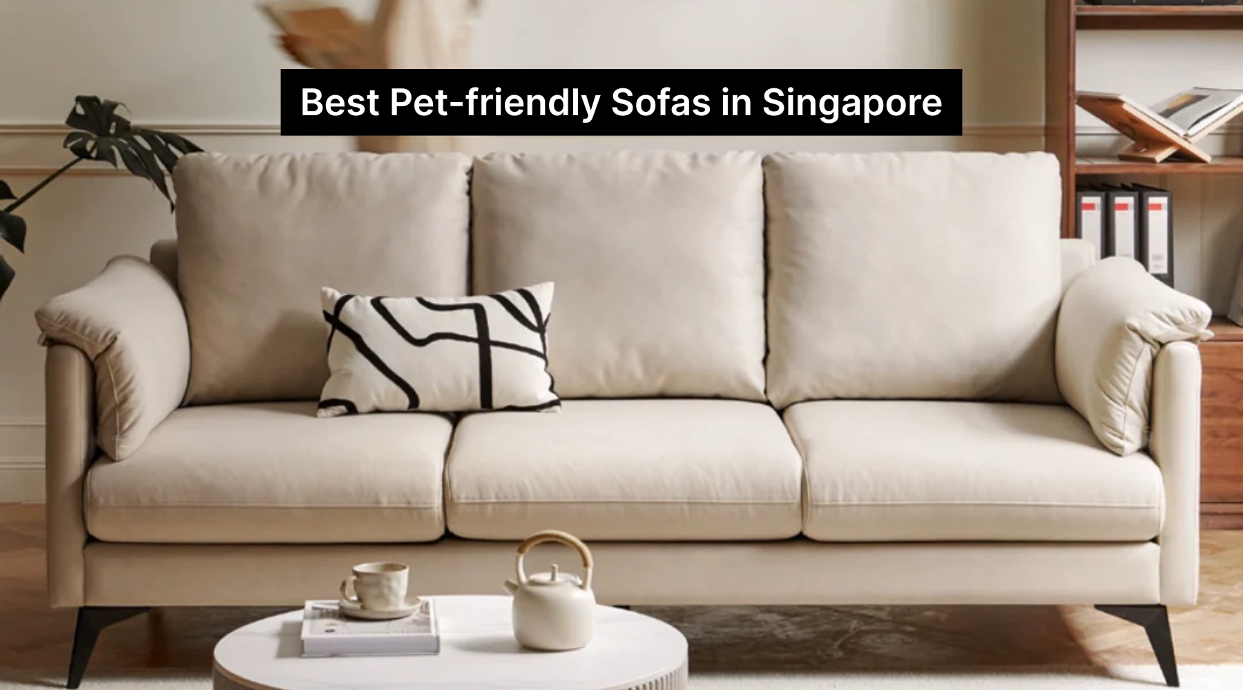 Best Pet-friendly Sofas in Singapore: Features & Care Tips