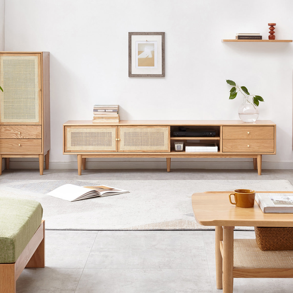 Yuri Rattan TV Console With Sliding Door - IUIGA